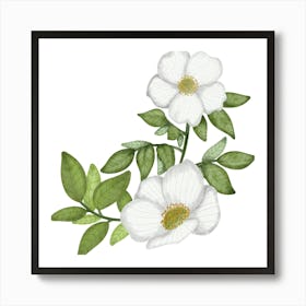 Five petals wild rose Art Print