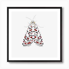 Moth Art Print