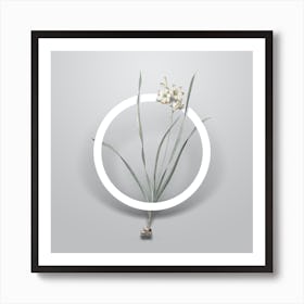 Vintage Gladiolus Lineatus Minimalist Botanical Geometric Circle on Soft Gray n.0450 Art Print