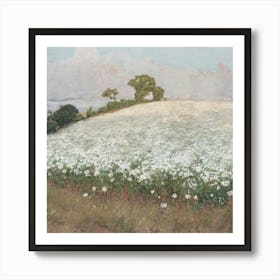 Field Of Daisies 2 Art Print