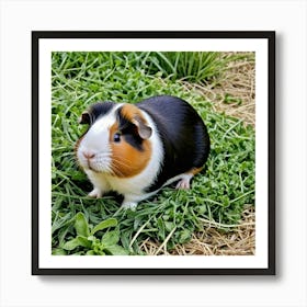 Guinea Pig Rodent Pet Small Furry Cute Fluffy Cavy Herbivore Domesticated Whiskers Ears Art Print