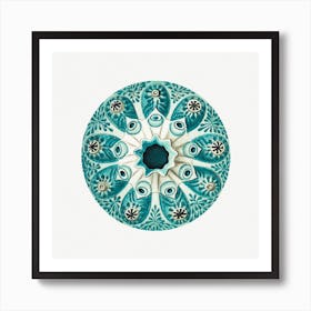 Vintage Tunicate, Ernst Haeckel Art Print