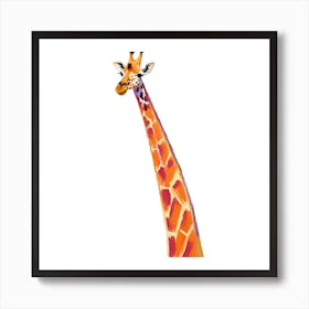 Masai Giraffe 02 Art Print