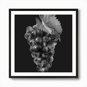 Black And White Grapes 1 Art Print