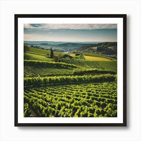 Vineyards In France Art Print