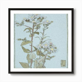 Chrysanthemums 2 Art Print