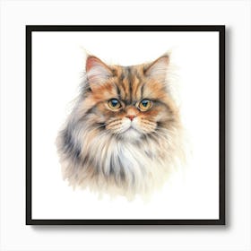 British Longhair Cat Portrait 2 Art Print