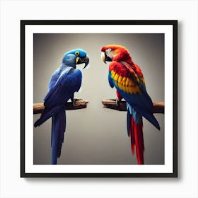 Parrots 4 Art Print