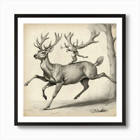 Deer Riding A Deer Art Print