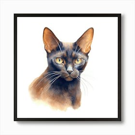 Bombay Chocolate Cat Portrait 3 Art Print