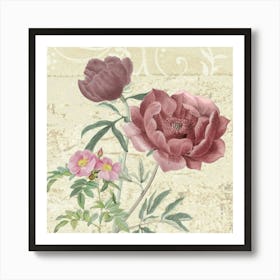 Pink Peonies Art Print