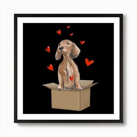 Dachshund In A Box animals love Art Print