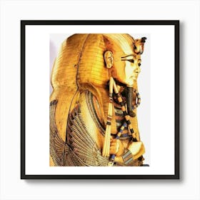 Egyptian Mummy 20 Art Print