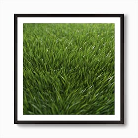 Green Grass 44 Art Print