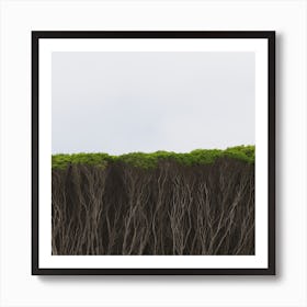 Serious Hedge Art Print