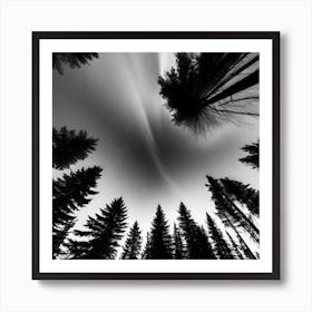 Sky Above The Trees Art Print