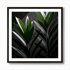 Black And White Plants Art Print