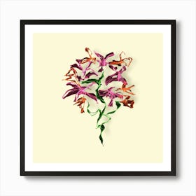 Orchids Art Print