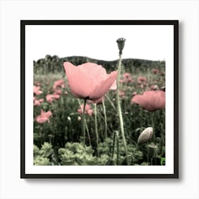 Poppy Field 20180504 16rt1ppub Art Print