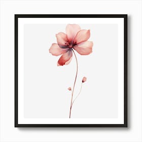 Pomegranate Flower Art Print