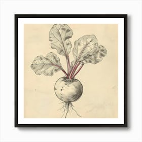 Beetroot Art Print