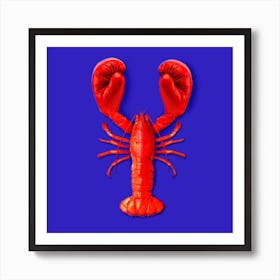 Lobster Fighting Square Art Print