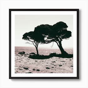 Coastal Trees Square Art Print