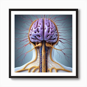 Human Brain And Spinal Cord Art Print