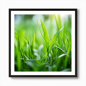 Grass Plant Texture Green Detail Nature Fresh Beautiful Summer Natural Spring Ecology Be (4) Art Print