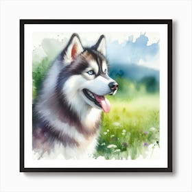 Siberian Husky Art Print