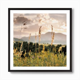 Northern New Mexico Wilderness Art Print