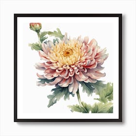 Chrysanthemum 3 Art Print