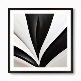 'Black And White' Art Print