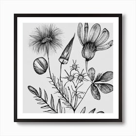 Wildflowers 1 Art Print