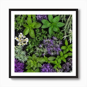 Fresh Herbs 7 Art Print