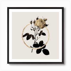 Gold Ring White Provence Rose Glitter Botanical Illustration Art Print