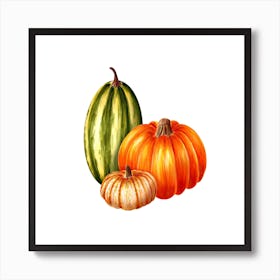 Pumpkins Isolated On White Art Print