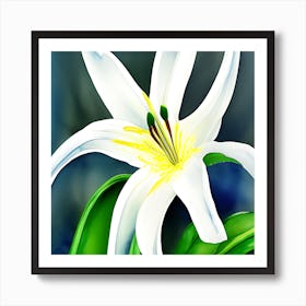 White Lilly 2 Póster