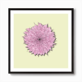 Pink Dandelion Square Art Print