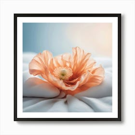 Poppy Flower On A Bed 1 Art Print