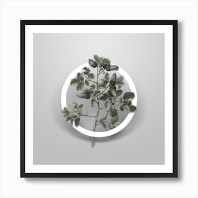 Vintage Kermes Oak Minimalist Flower Geometric Circle on Soft Gray n.0427 Art Print