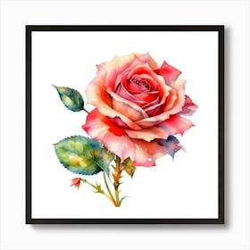 Watercolor Rose Art Print