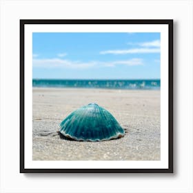 Seashell On The Beach 1 Art Print