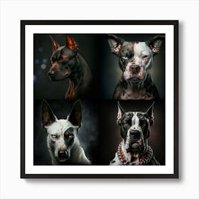 Four beautiful dogs Art Print