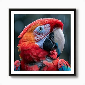 Colorful Parrot In The Rain Art Print