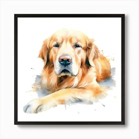 Golden Retriever Watercolor Painting 6 Art Print