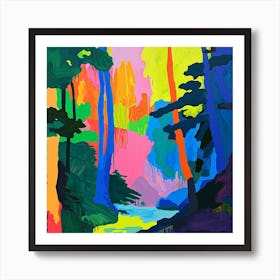 Colourful Abstract Muir Woods National Park Usa 4 Art Print