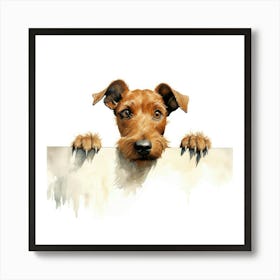 Irish Terrier 8 Art Print