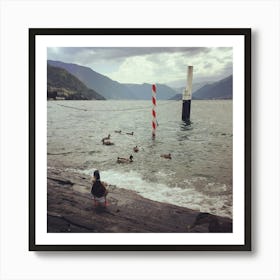 Ducks at Varenna, Como, Italy Art Print