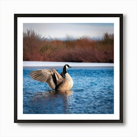 Firefly Head, Lake, Canada, Bird, Outdoors, Canadian Goose, Winter, Resting, Wing, Fowl, Water Bird, (10) Art Print